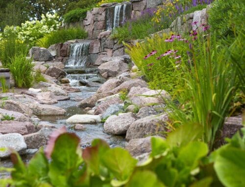 The Benefits of Hardscaping in Landscape Design